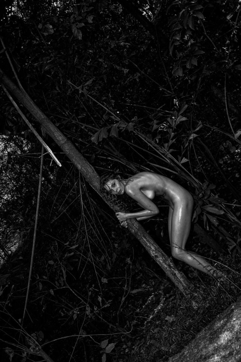 Vikram Bawa_Whispers of Eden_5004
