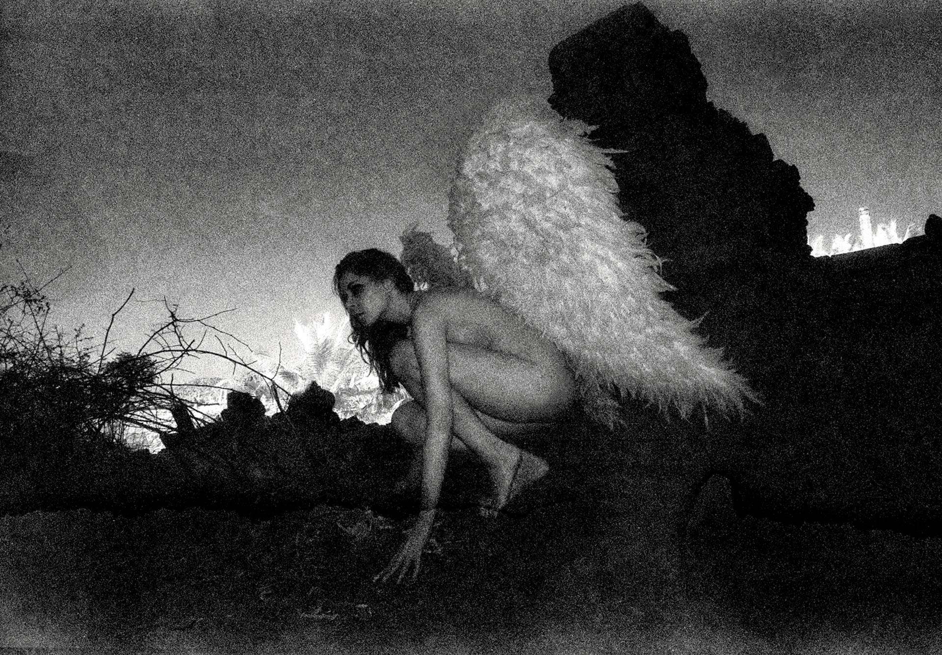 Vikram Bawa_20070220_1011_The Fallen Angel_Flight