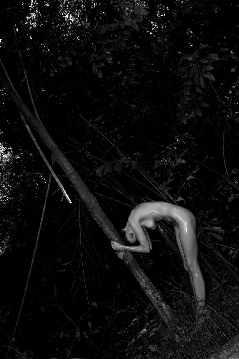 Vikram Bawa_Whispers of Eden_5005